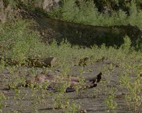 Salome Richard - Septembre (2013)