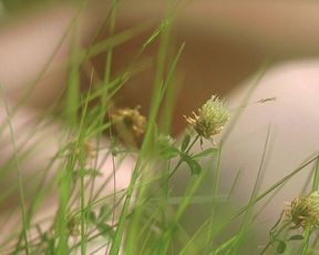 Tilda Swinton - I Am Love (2009)