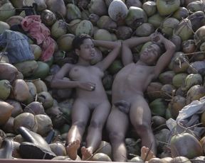 Dandara de Morais - August Winds (2014)