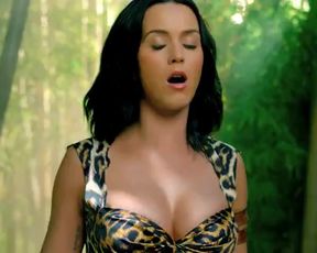 Naked scenes Katy Perry Sexy - Roar (2013)