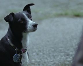 Helene Bergsholm nude – Turn Me On Dammit (2011)