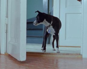 Helene Bergsholm nude – Turn Me On Dammit (2011)