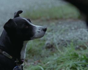 Helene Bergsholm nude – Turn Me On Dammit (2011)