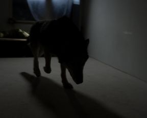 Lilith Stangenberg - Wild (2016) celebrity hot movie scene