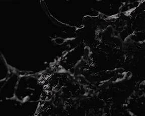 Ava de Lacy, sexy actress - Last Night in Paris (2016) Hot celebs scenes