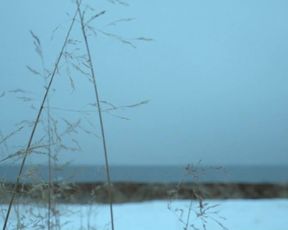 Ingvild Holthe Bygdnes, Guri Johnson nude - Monster (2017) (Season 1, Episode 5)