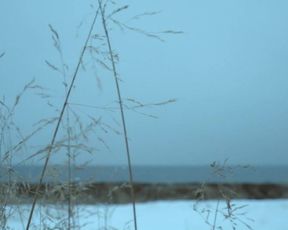 Ingvild Holthe Bygdnes, Guri Johnson nude - Monster (2017) (Season 1, Episode 5)