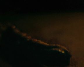 Kris Alexandrea nude - Rot (2019)