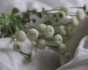 Anna Elise Martesen, Hanna Bjorndal - Naken (2016) Hot film scenes