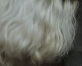 Micaela Ramazzotti, Matilda De Angelis nude - Una famiglia (2017)