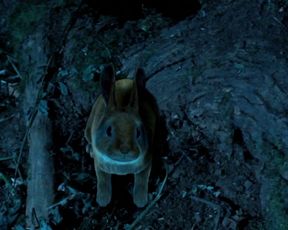 Dani Thompson - Cute Little Buggers (2017) Naked movie video