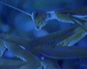 Aina Clotet nude - Mola ser malo (2005)