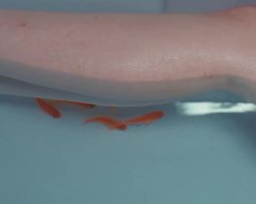 Lou Lesage, Clara Fosset - Salambo (2016) Hot movie scenes