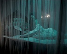 Kate Nhung - The Housemaid (2016) Censorship nude scene