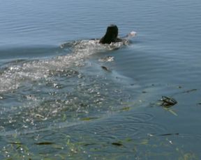 Nicole da Silva - Doctor Doctor s01e01-02 (2016) Nude movie scene