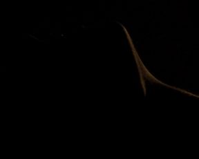 Alix Benezech hot - Aout (2015)