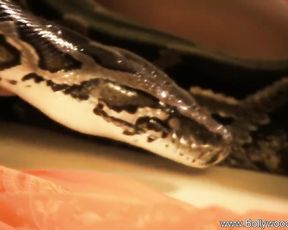 Interesting Ritual From Eastern Asia