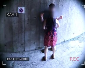 Security camera caught a naughty couple screwing in front of the garage exit