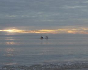 Naomi Watts - Penguin Bloom (2020) celebrity nude jugs