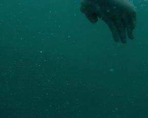 Ragga Ragnars - Vikings s06e15 (2020) celebs booby flick