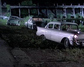 Maude Winchester - Birdy (1984) actress huge-titted movie