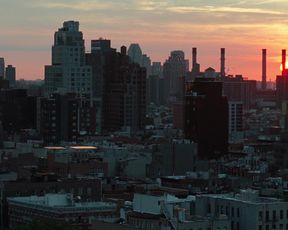 Rashida Jones - On the Rocks (2020) celebrity A wonderful vignette