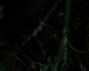 Victoria De Mare, Roxy DeVille, and other - Bio Slime (Contagion) (2010) celebrity without bra movie