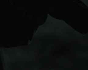 Florencia Rios, Patricia Ortiz, Sara Camacho - Mexico Barbaro (2014) celeb booby flick