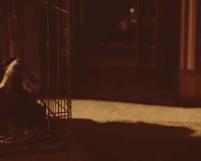 Asta Paredes, Catherine Corcoran, and other - Comeback to Come Back to Nuke 'Em High Aka Vol. two (2017) grou actresses from globes sequence