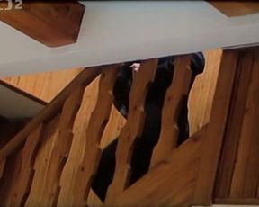 Ivana Chylkova, Lucie Bila, and other - Ta naee pisnicka ceska II (1990) actress naked gig