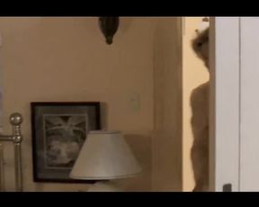 Christina Ricci Naked Gig From Prozac Nation Vid