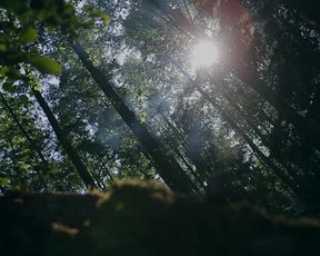 Andrea P - Voyeurism