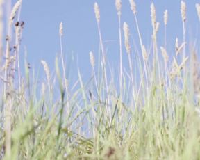 Naked Outdoors - Girl-Wind