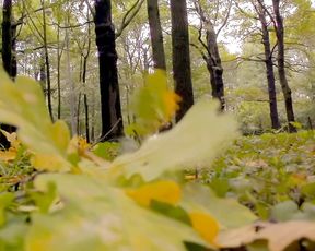 Naked on Stage - Exhibitionism in the park