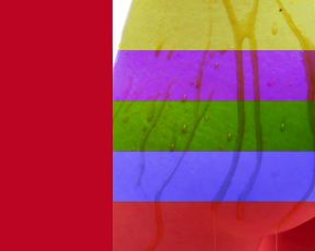 Nothing Erotic - Spirit Catcher - Nude Art Video