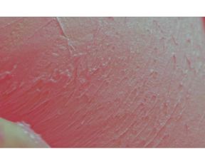 Nothing Erotic - Spirit Catcher - Nude Art Video