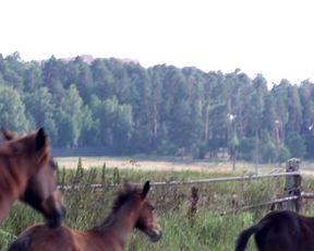 Nude Art Story - Naked Girl and Milk Tits