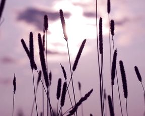 Nude Art Story - Naked Girl and Milk Tits