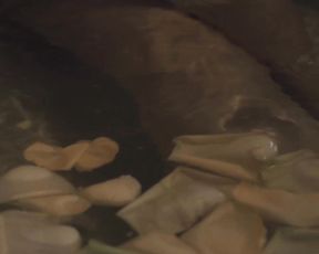 Nude Art Video -  Looking Glass