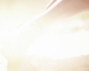 Nude Art Video - Loft and Soul Butterfly