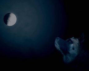 Nude Art Video - Magical Forest