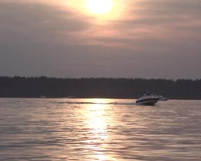 Nude Art Video - Silicone Sea