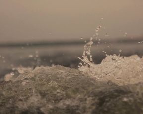 Nude Art Video - Silicone Sea