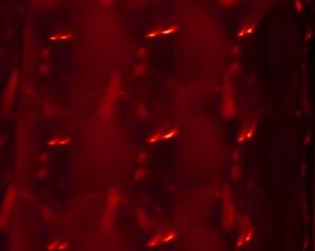 Kerry Bishe - Happily (2021) celebs sexy scene