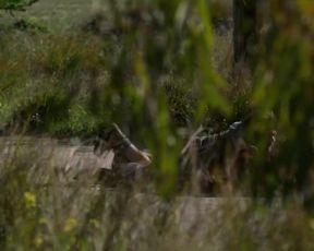 Penelope Tsilika, Michele Valley sexy - Kala azar (2020)