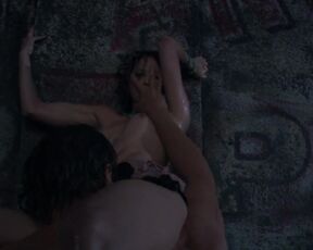 Nicki Aycox - animals