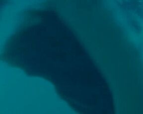 Maïwenn Le Besco nude, Estelle Lefébure naked - Le bal des actrices (2009) Underwater nudity movie scene