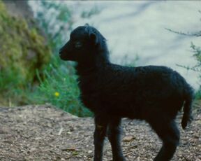 Camille Berthomier nude- Astrakan (2022) topless short scene