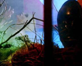 Angelica Ulloa topless - Moon Garden (2022) Music Nude Clip