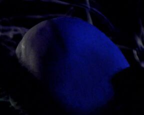 Angelica Ulloa topless - Moon Garden (2022) Music Nude Clip